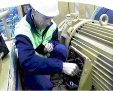 Disconnected a three-phase motor on a crane overlooking Brisbane